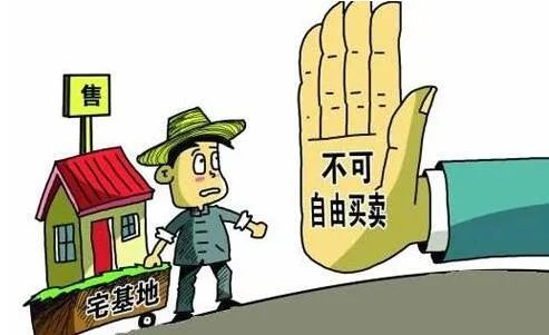 定了！农村这四种宅基地不能确权，无法进行不动产登记