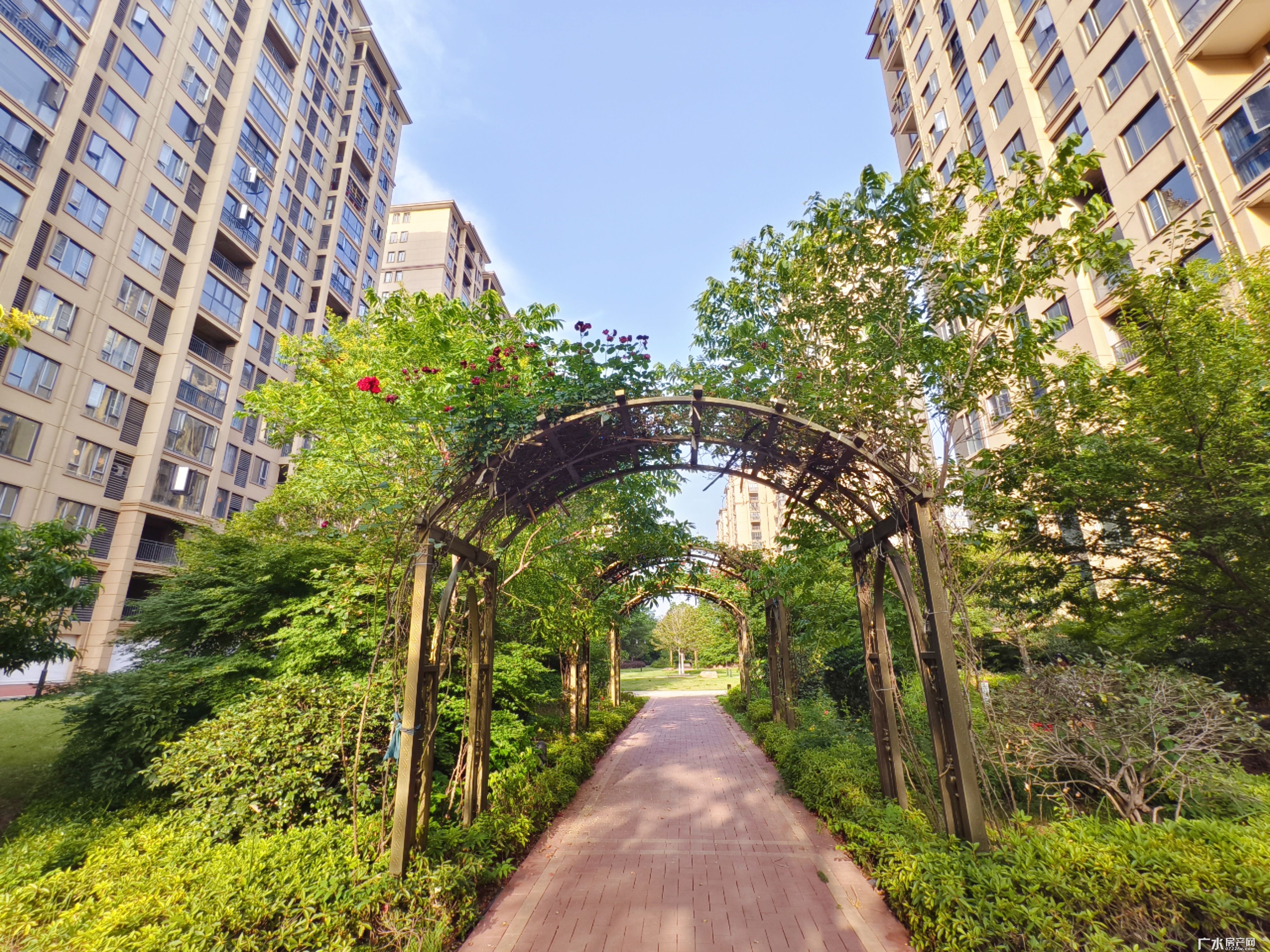 2025.5实景图