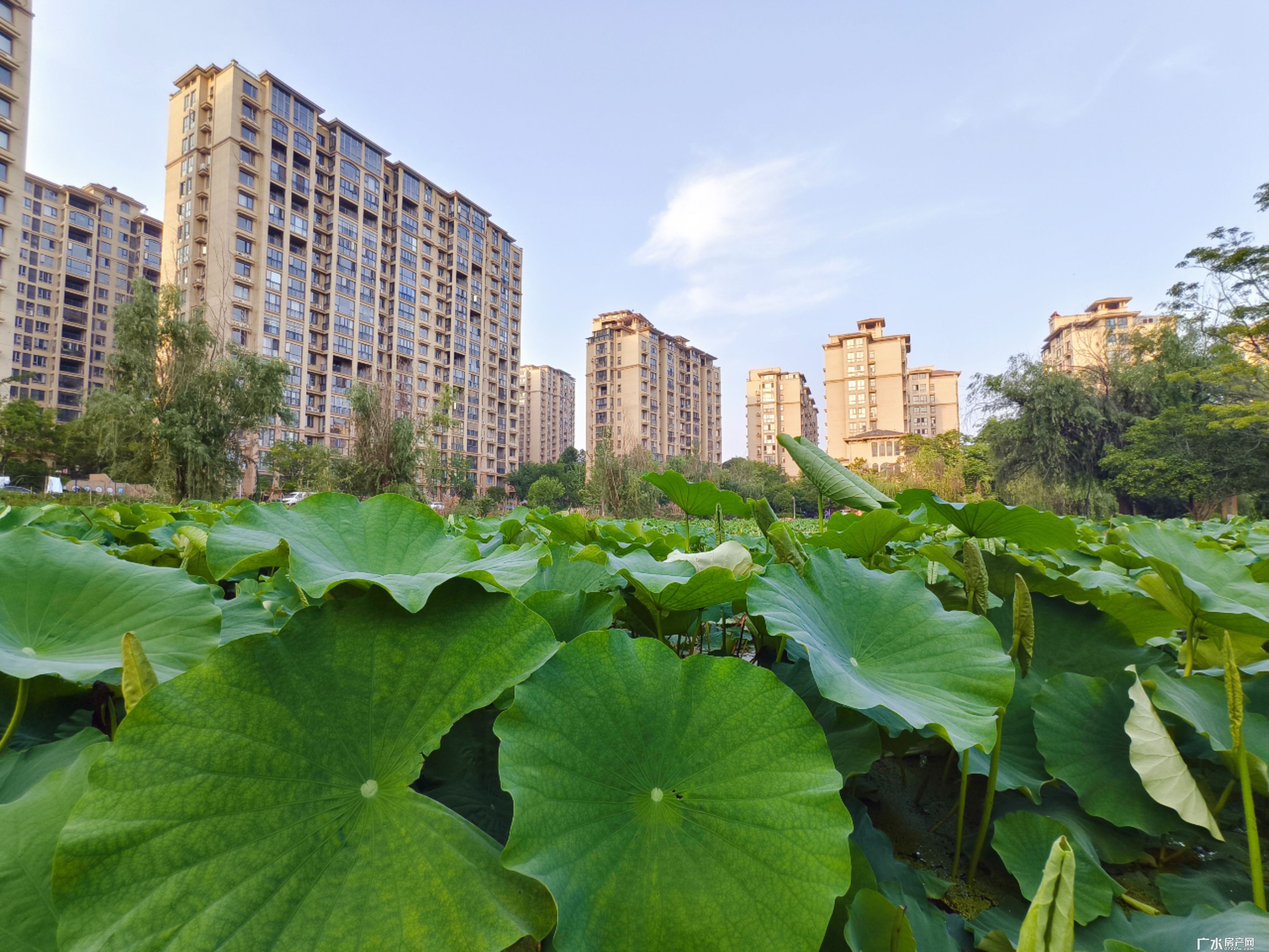 2025.5实景图