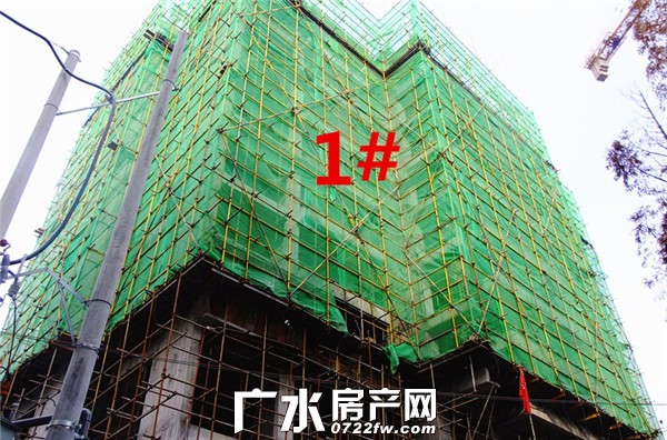 乾勋世纪嘉园进度：1#2#楼已经建到十层