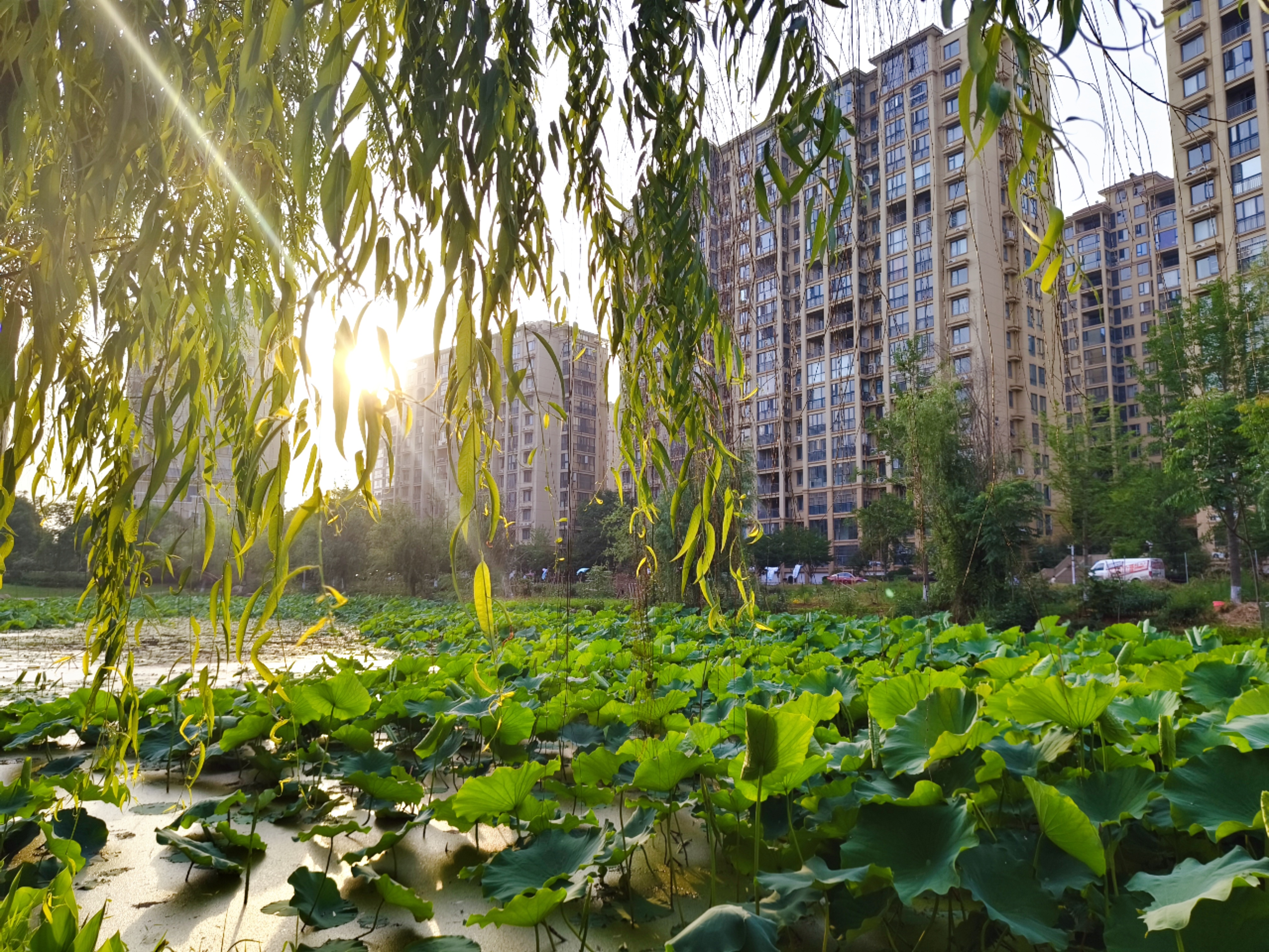 翡翠山湖实景现房+配套齐全+购房补贴，开启品质生活